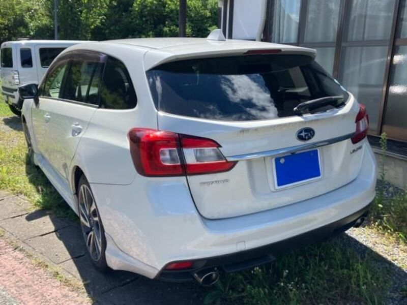 LEVORG