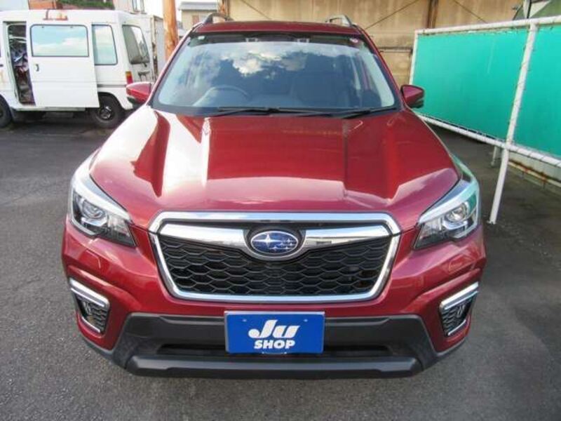 FORESTER