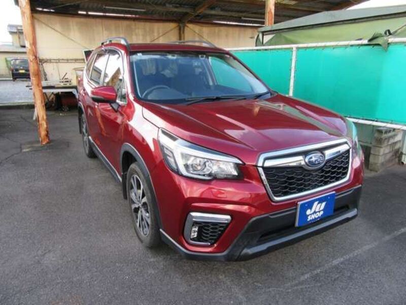 FORESTER