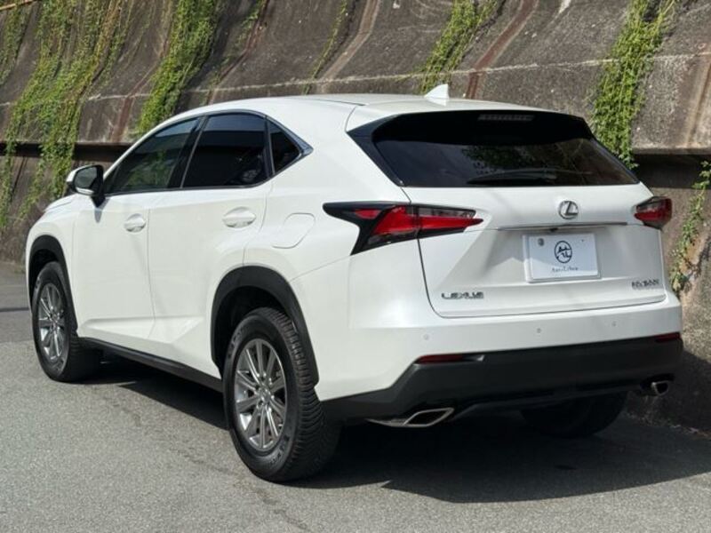NX