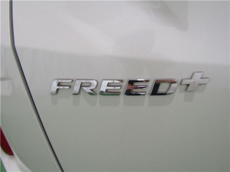 FREED+