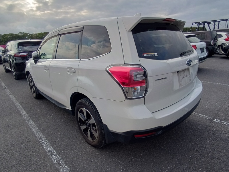 FORESTER