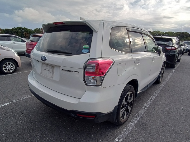 FORESTER