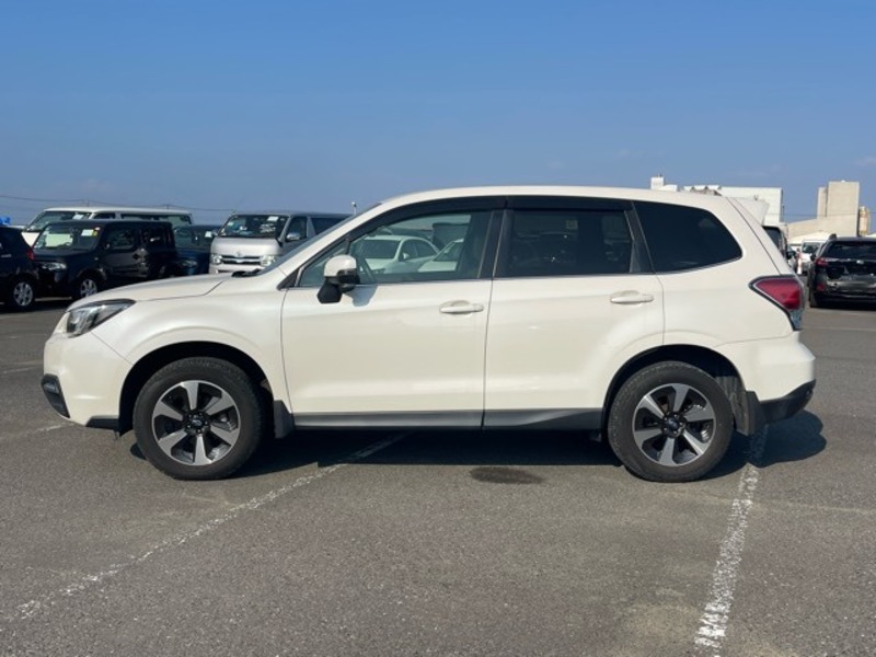FORESTER