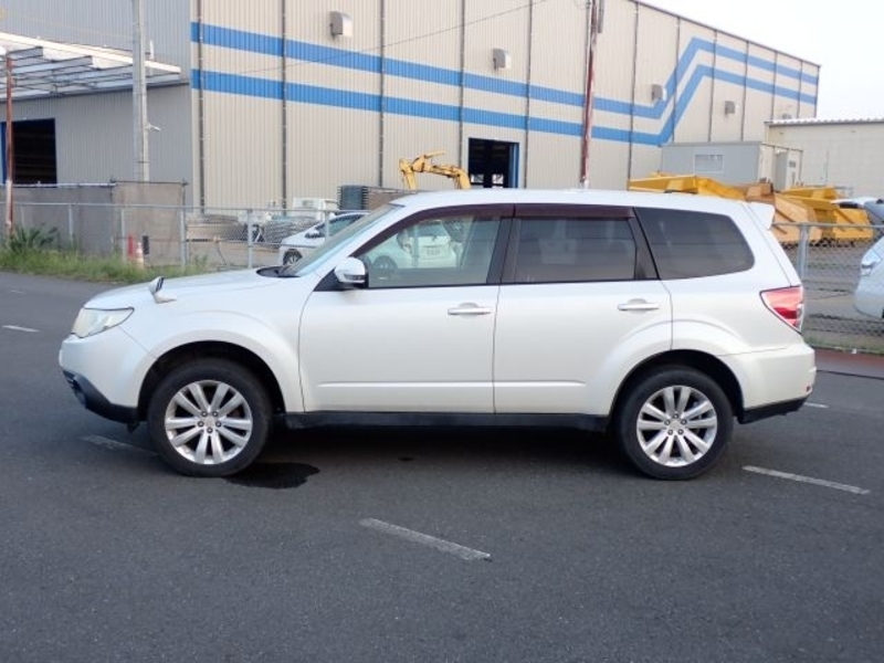 FORESTER