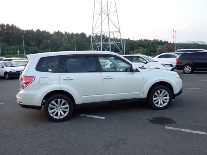 FORESTER