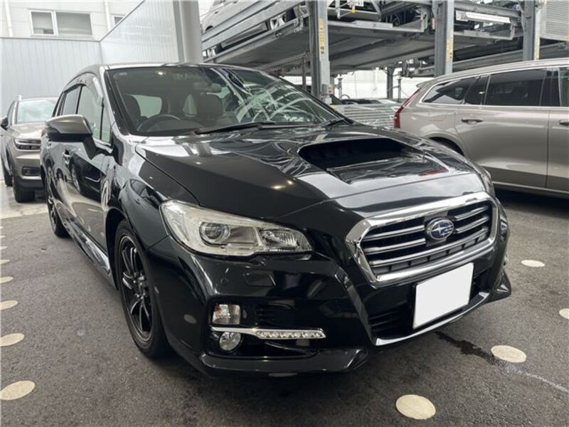LEVORG-0