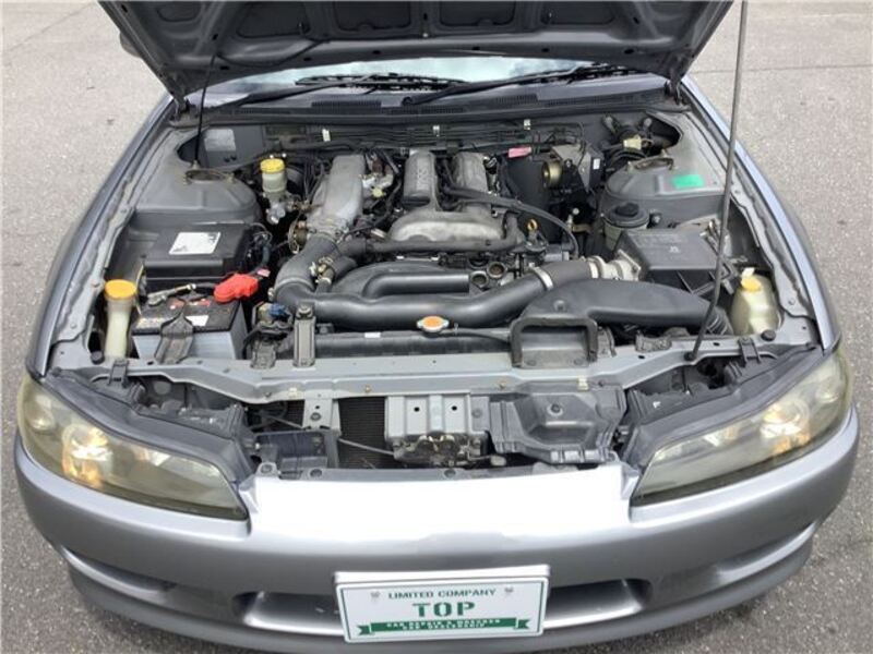 SILVIA