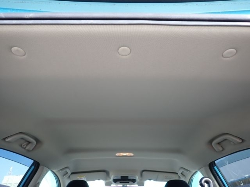 XV