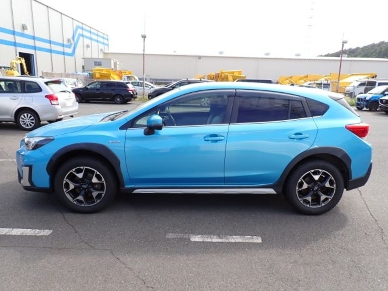 XV