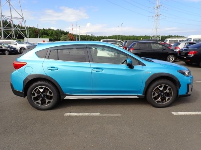 XV