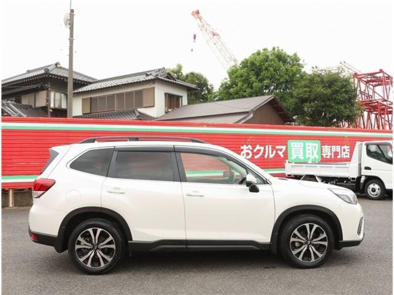 FORESTER