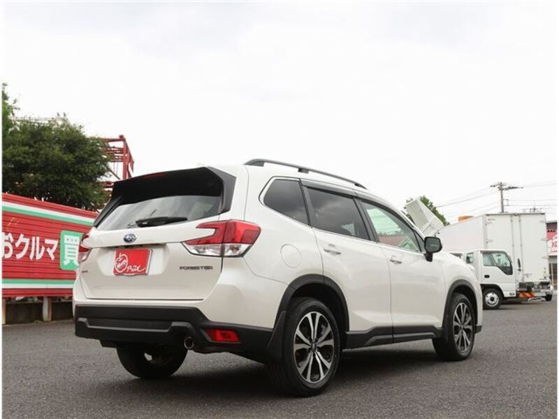 FORESTER