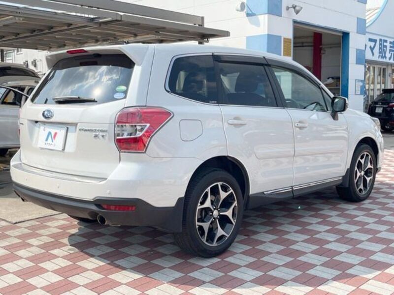 FORESTER