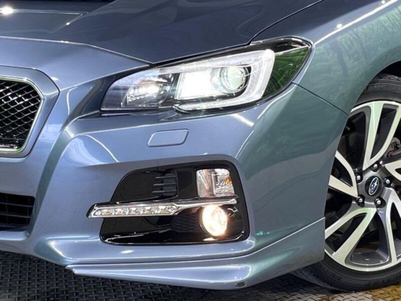 LEVORG