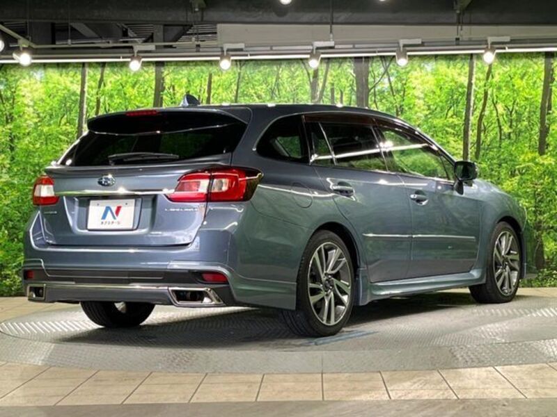 LEVORG