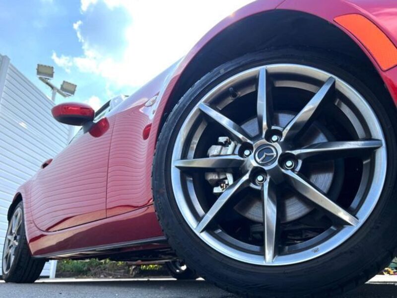 ROADSTER RF