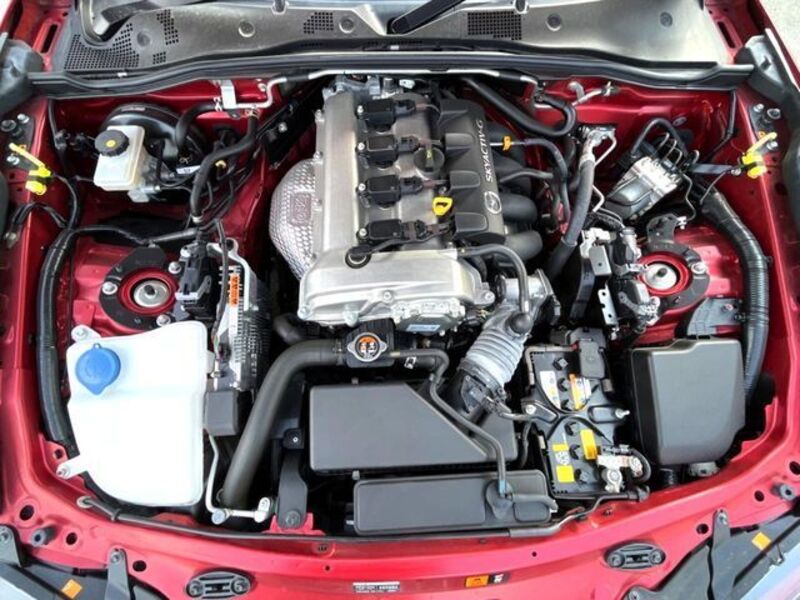 ROADSTER RF