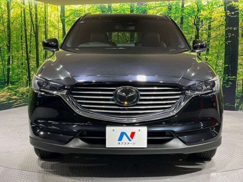 CX-8
