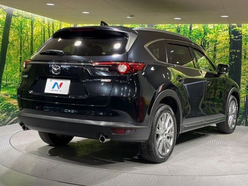 CX-8