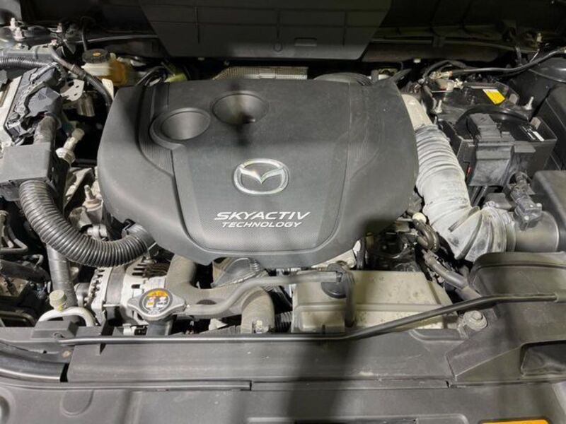 CX-8