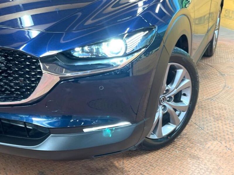 CX-30