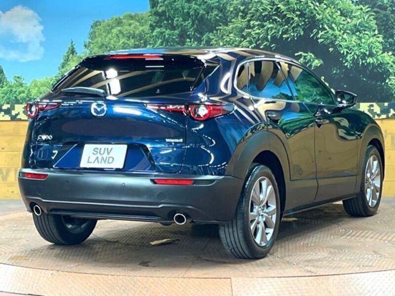 CX-30