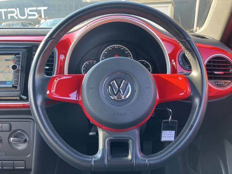 THE BEETLE