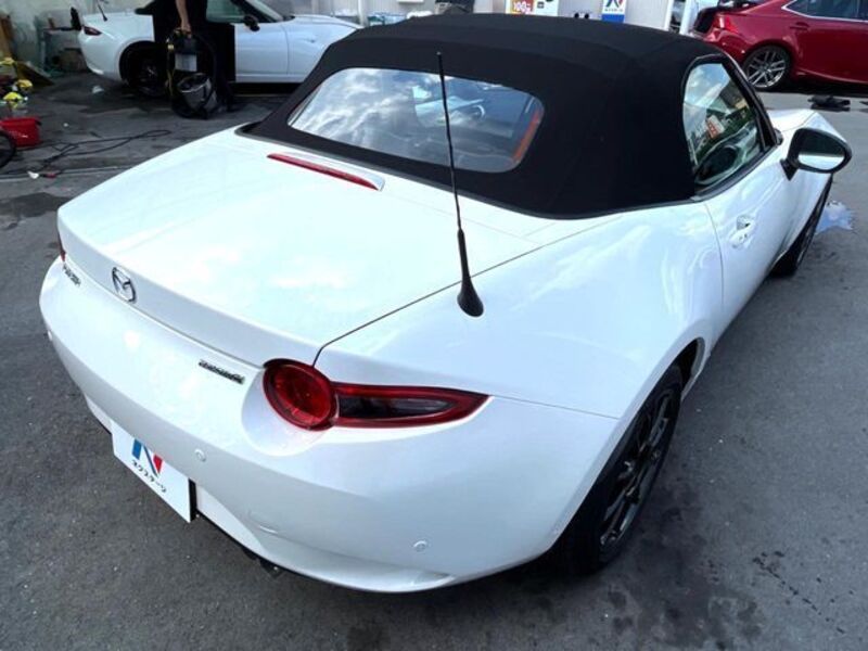 ROADSTER