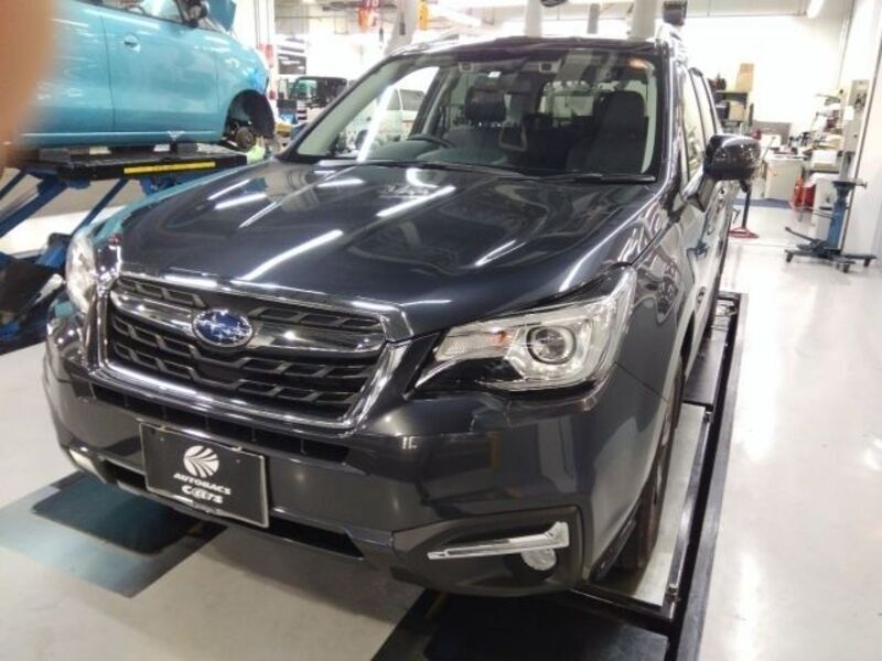 FORESTER-0