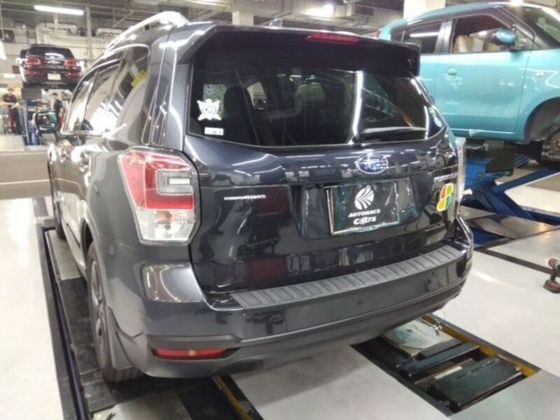 FORESTER