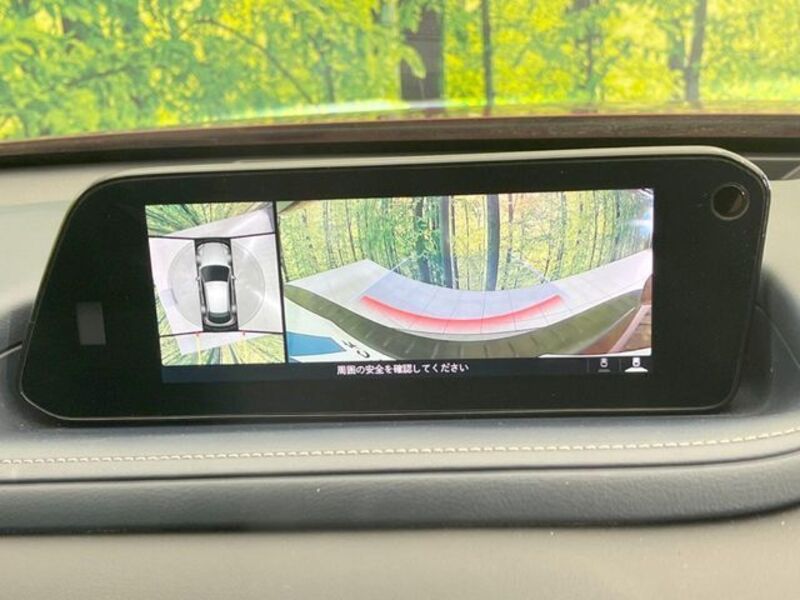 CX-30