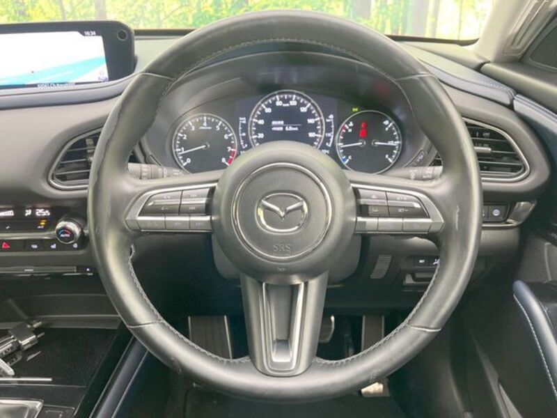 CX-30