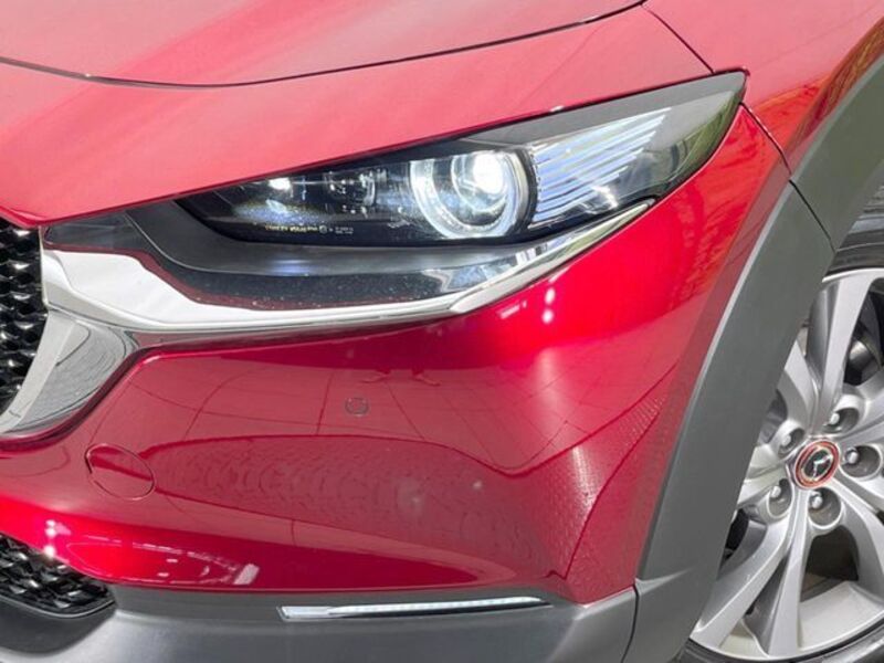 CX-30