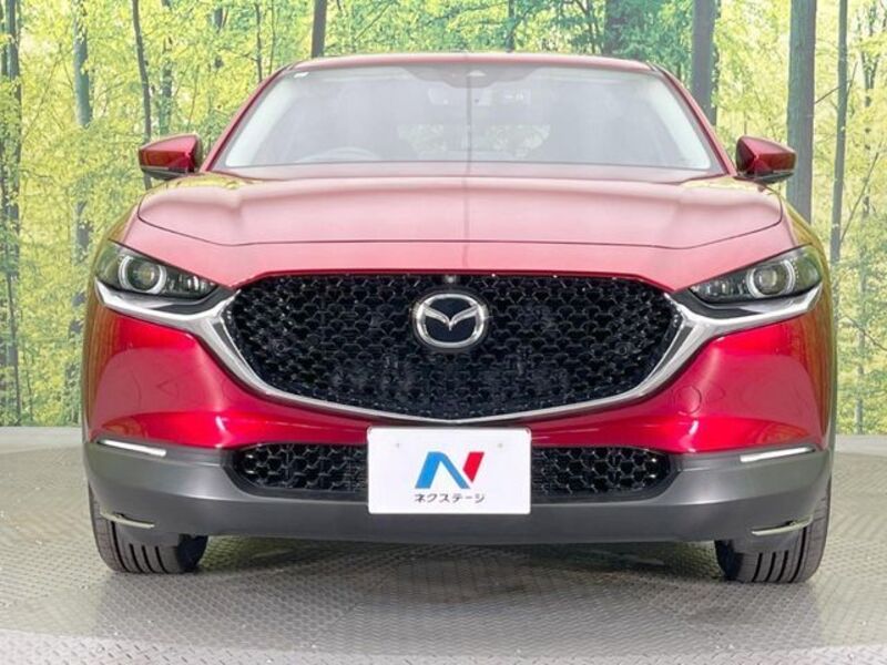 CX-30