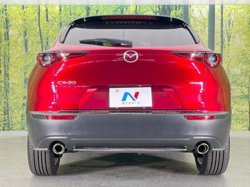 CX-30