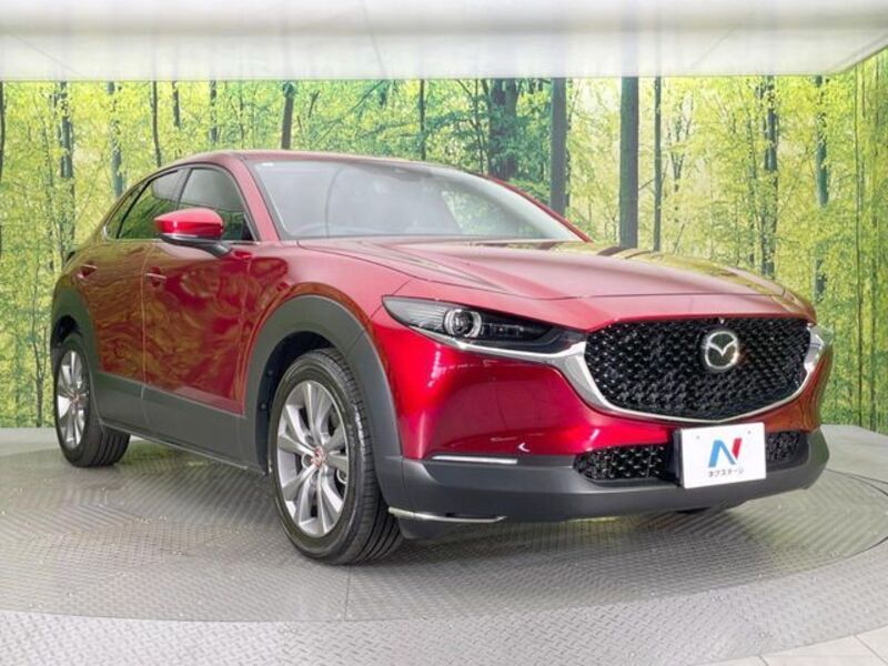 CX-30