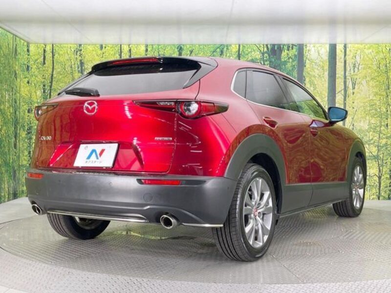 CX-30
