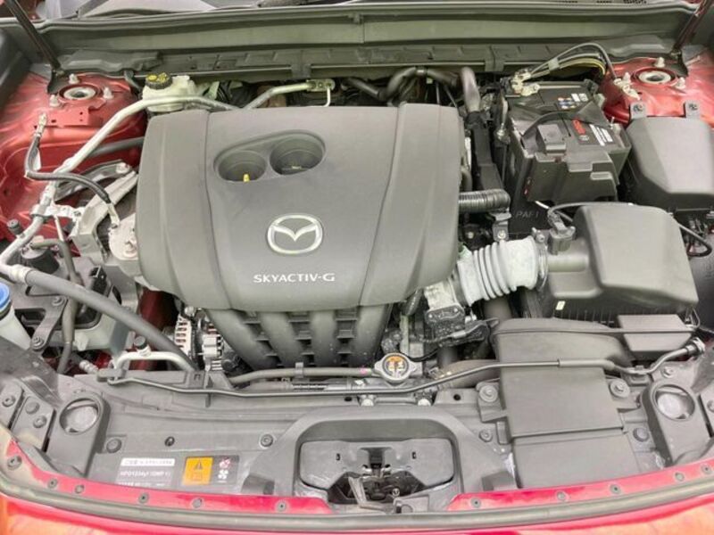 CX-30