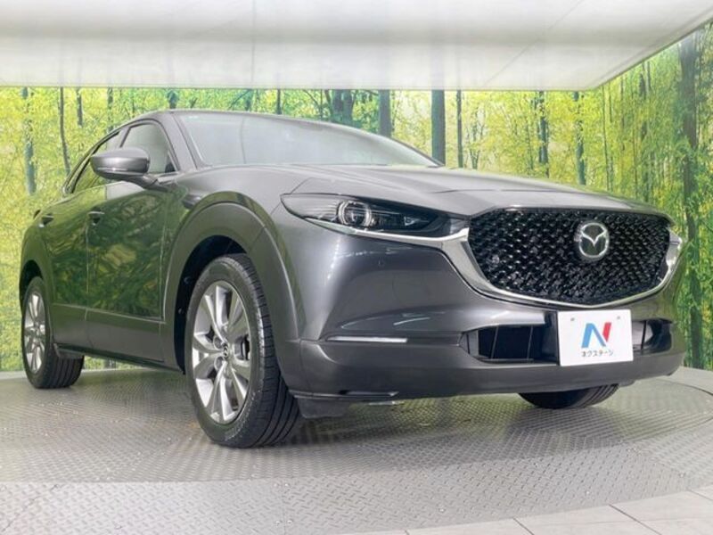 CX-30