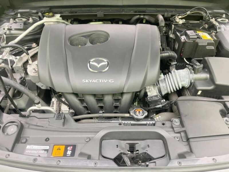 CX-30