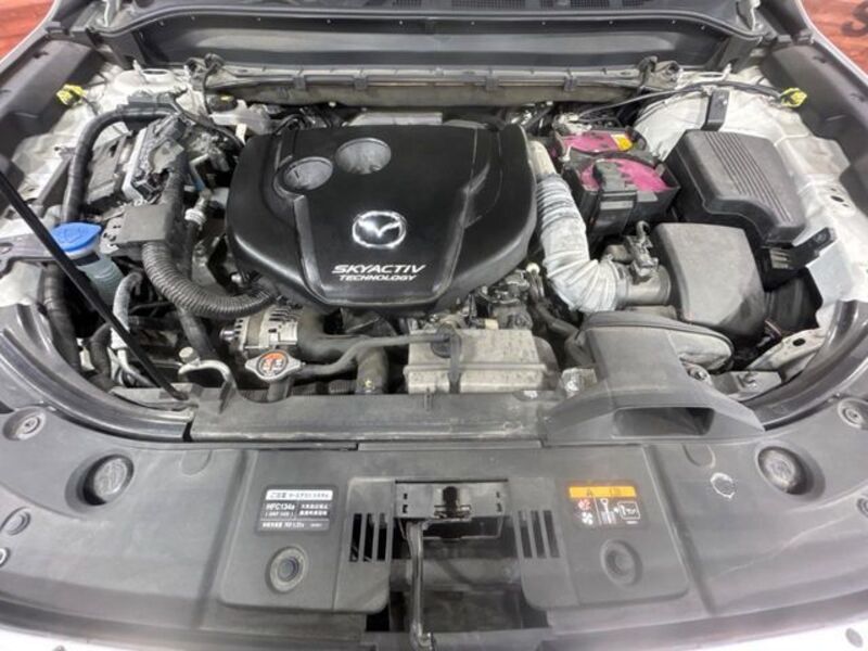 CX-8
