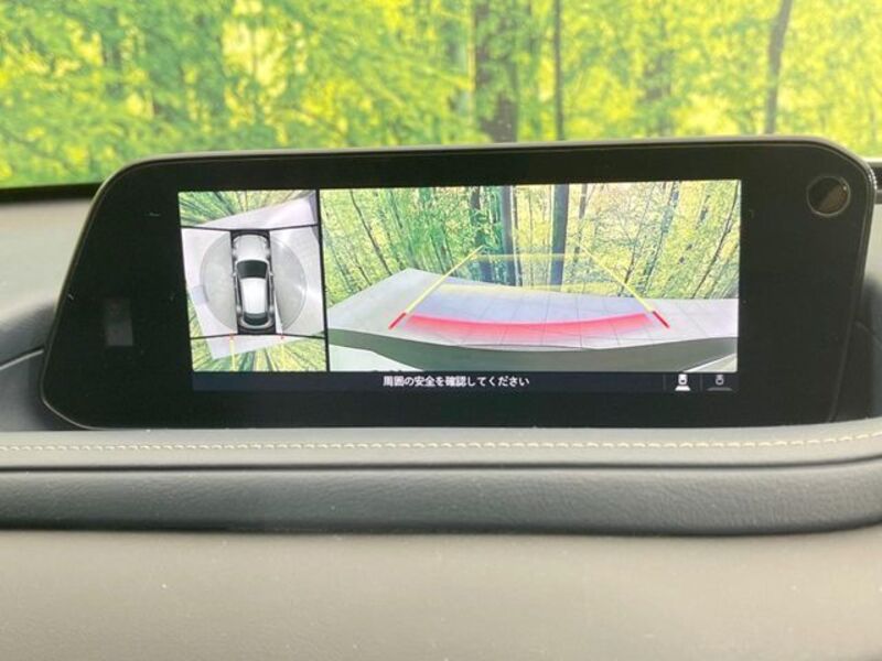 CX-30