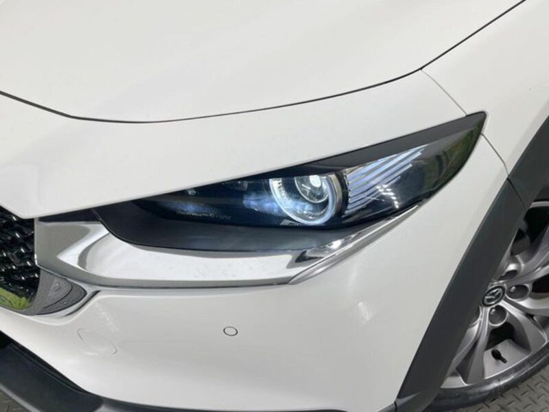 CX-30