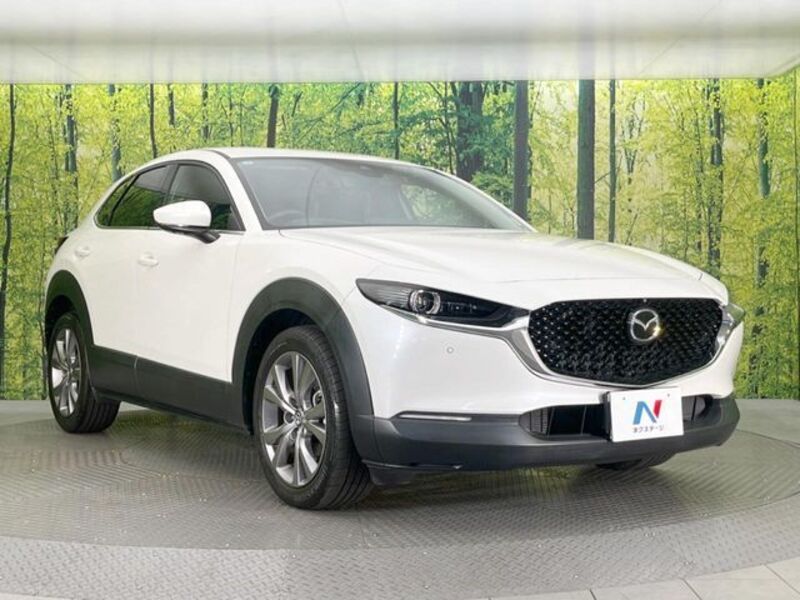 CX-30