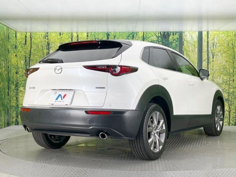 CX-30