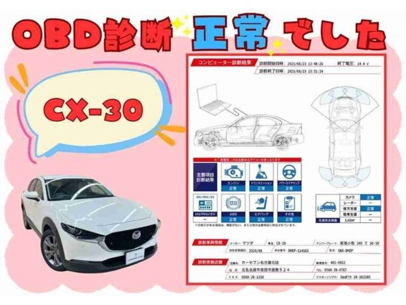 CX-30