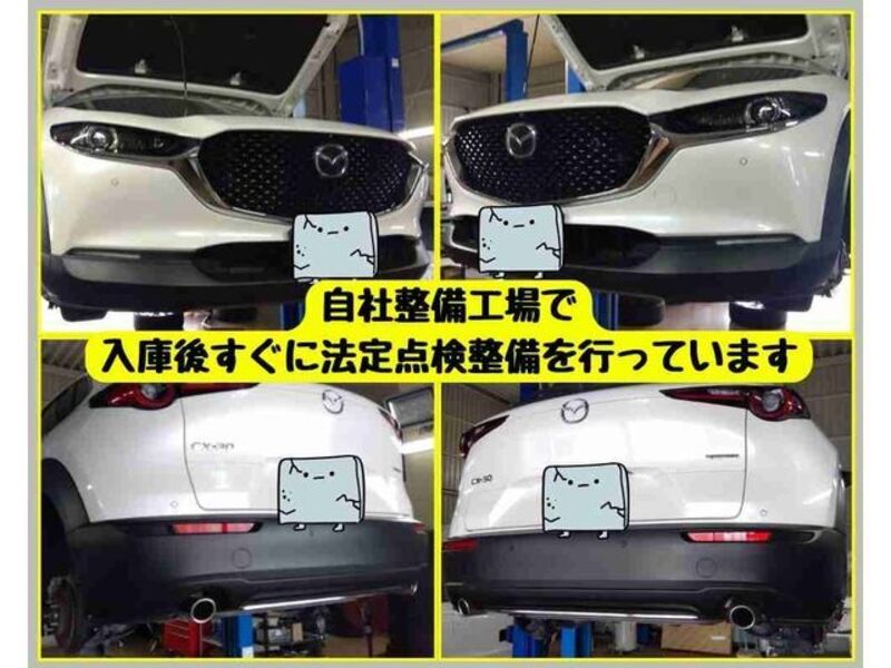 CX-30