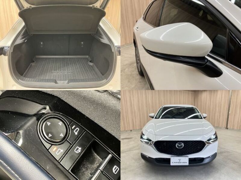 CX-30