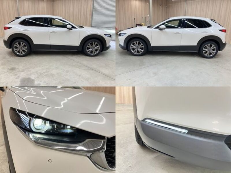 CX-30